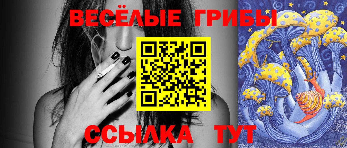 Белово  Псилоцибиновые грибы Psilocybe  Галлюциногенные грибы Psilocybe  Вход с VPN 