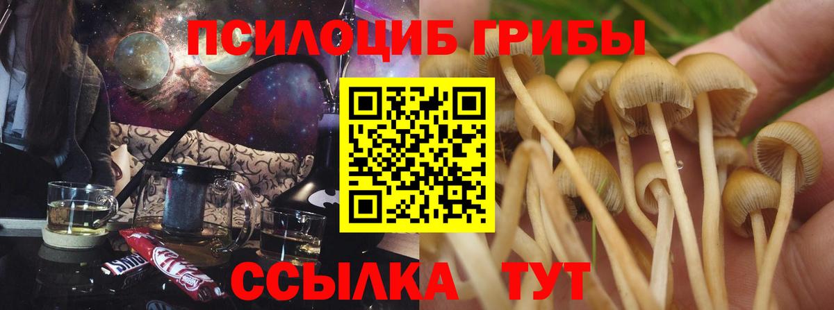 Галлюциногенные грибы Cubensis Белово